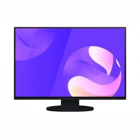 MONITOR RADIOGRAFÍA CLÍNICA DENTAL EIZO EV2495 FLEXSCAN