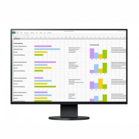 MONITOR RADIOGRAFÍA CLÍNICA DENTAL EIZO EV2456 FLEXSCAN